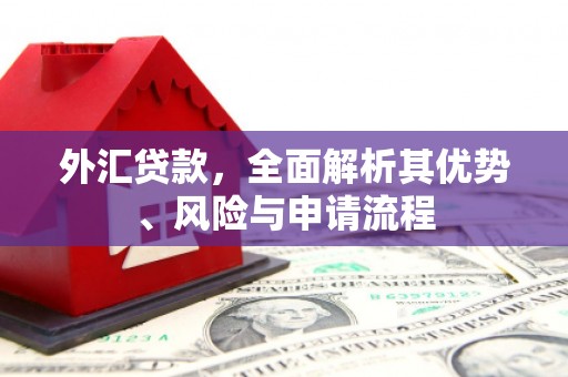 吕梁外汇贷款，全面解析其优势、风险与申请流程