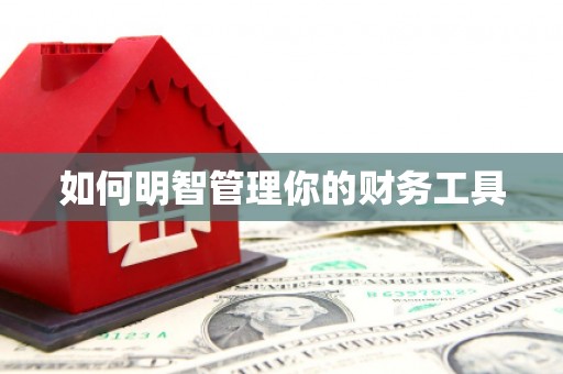 吕梁如何明智管理你的财务工具