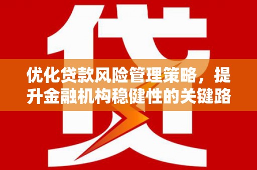 吕梁优化贷款风险管理策略，提升金融机构稳健性的关键路径