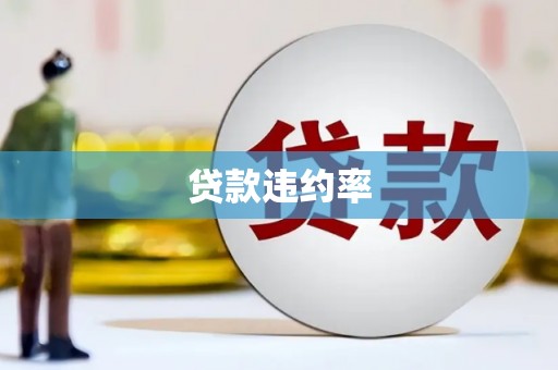 吕梁贷款违约率