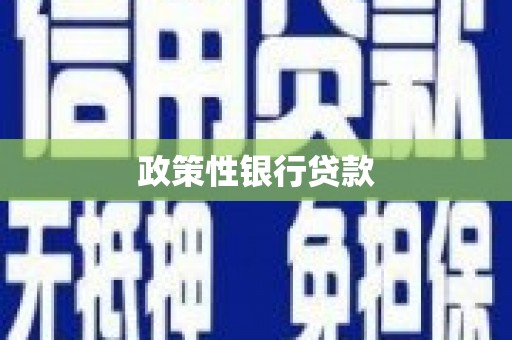 吕梁政策性银行贷款