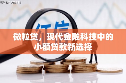 吕梁微粒贷，现代金融科技中的小额贷款新选择