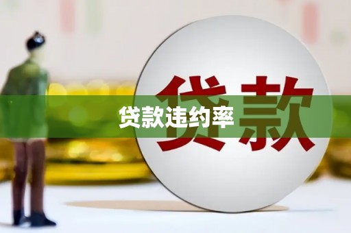 吕梁贷款违约率