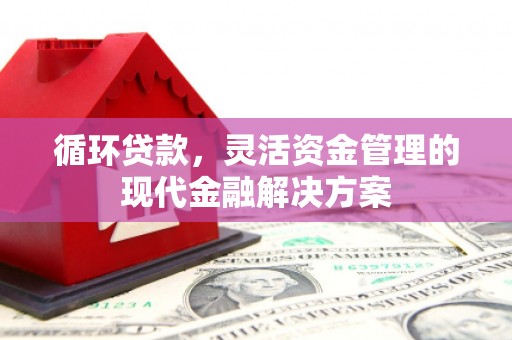 吕梁循环贷款，灵活资金管理的现代金融解决方案