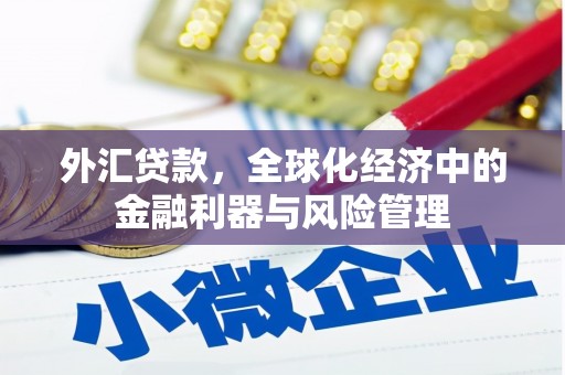 吕梁外汇贷款，全球化经济中的金融利器与风险管理