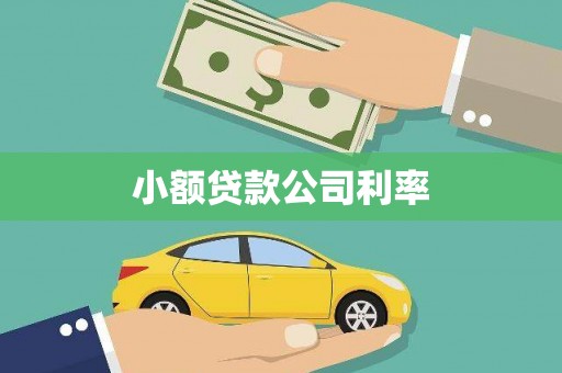 吕梁小额贷款公司利率