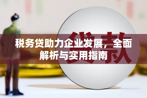 吕梁税务贷助力企业发展，全面解析与实用指南