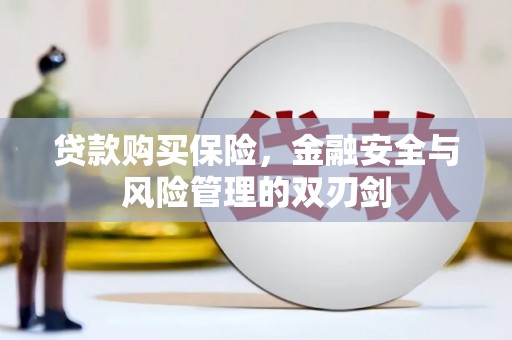 吕梁贷款购买保险，金融安全与风险管理的双刃剑