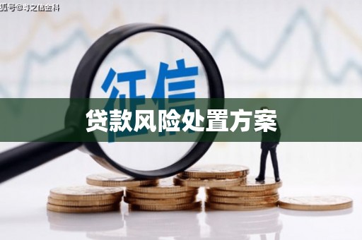 吕梁贷款风险处置方案