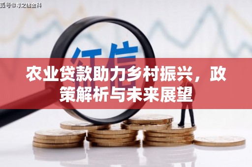 吕梁农业贷款助力乡村振兴，政策解析与未来展望