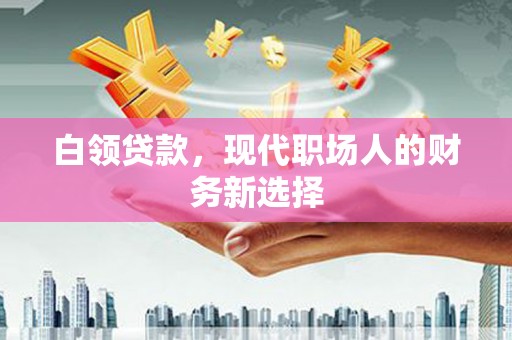 吕梁白领贷款，现代职场人的财务新选择