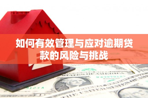 吕梁如何有效管理与应对逾期贷款的风险与挑战