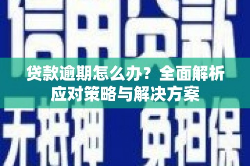 吕梁贷款逾期怎么办？全面解析应对策略与解决方案