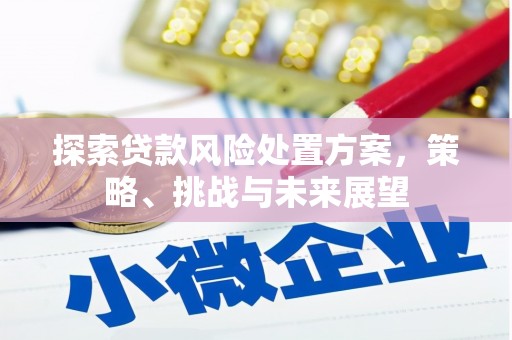 吕梁探索贷款风险处置方案，策略、挑战与未来展望
