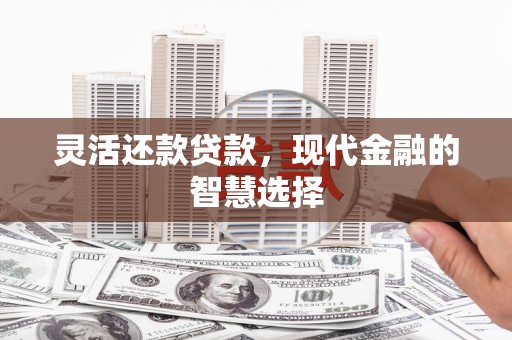 吕梁灵活还款贷款，现代金融的智慧选择