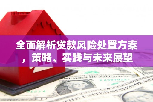 吕梁全面解析贷款风险处置方案，策略、实践与未来展望