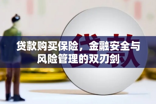 吕梁贷款购买保险，金融安全与风险管理的双刃剑