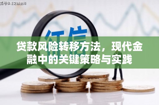 吕梁贷款风险转移方法，现代金融中的关键策略与实践