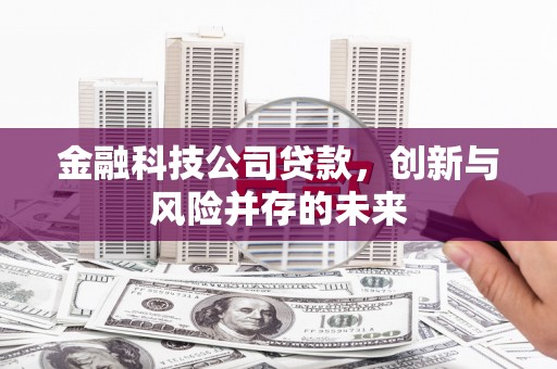 吕梁金融科技公司贷款，创新与风险并存的未来