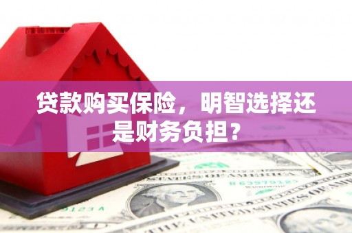 吕梁贷款购买保险，明智选择还是财务负担？