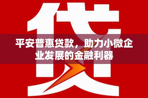 吕梁平安普惠贷款，助力小微企业发展的金融利器