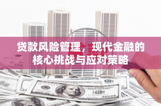 吕梁贷款风险管理，现代金融的核心挑战与应对策略