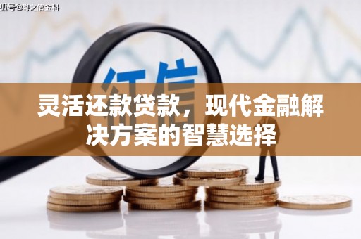 吕梁灵活还款贷款，现代金融解决方案的智慧选择