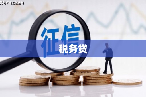 吕梁税务贷