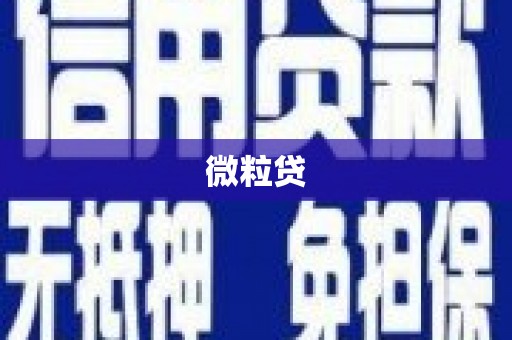 吕梁微粒贷