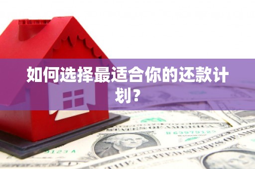 吕梁如何选择最适合你的还款计划？