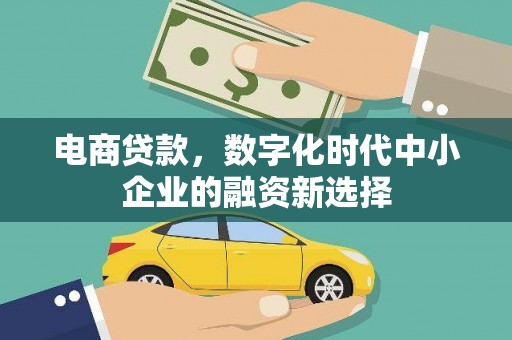 吕梁电商贷款，数字化时代中小企业的融资新选择