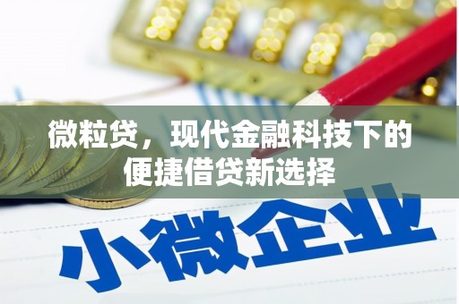 吕梁微粒贷，现代金融科技下的便捷借贷新选择