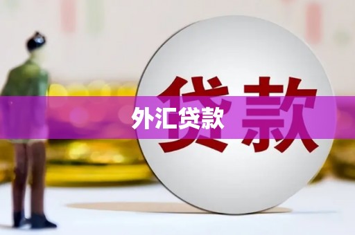 吕梁外汇贷款