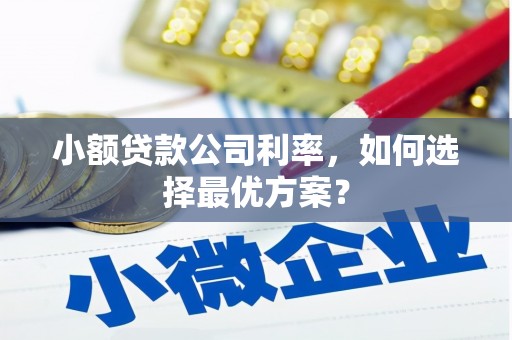 吕梁小额贷款公司利率，如何选择最优方案？