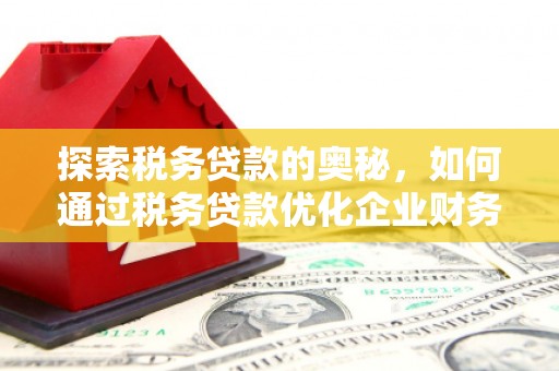吕梁探索税务贷款的奥秘，如何通过税务贷款优化企业财务