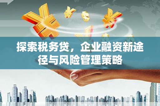 吕梁探索税务贷，企业融资新途径与风险管理策略