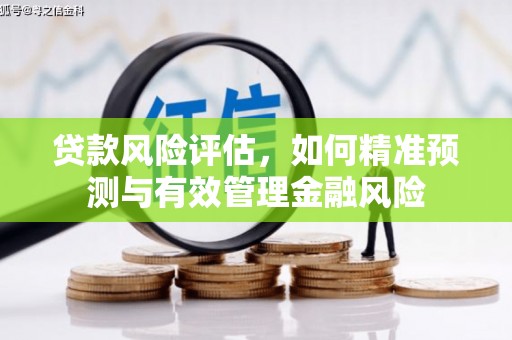 吕梁贷款风险评估，如何精准预测与有效管理金融风险