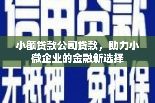 吕梁小额贷款公司贷款，助力小微企业的金融新选择