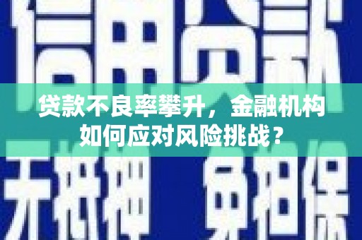 吕梁贷款不良率攀升，金融机构如何应对风险挑战？