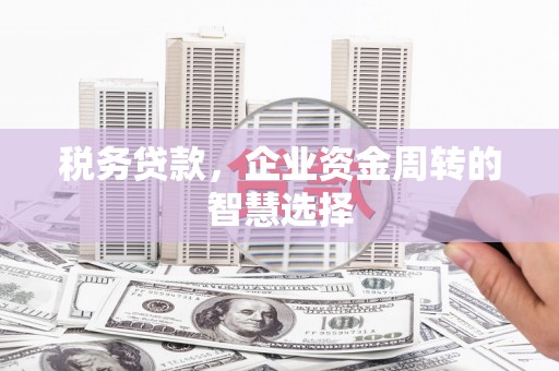 吕梁税务贷款，企业资金周转的智慧选择