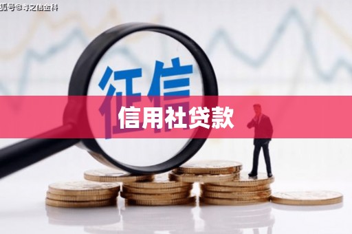 吕梁信用社贷款