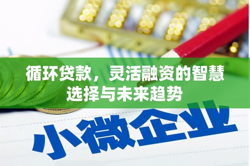吕梁循环贷款，灵活融资的智慧选择与未来趋势