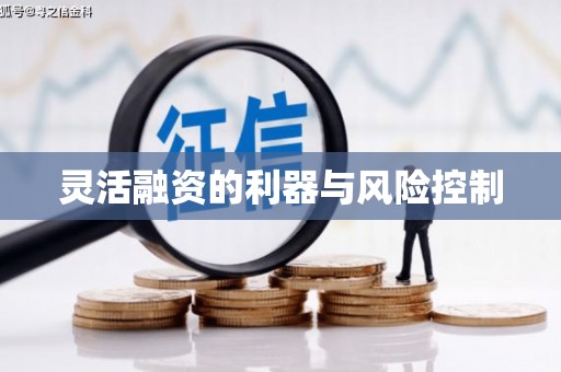 吕梁灵活融资的利器与风险控制