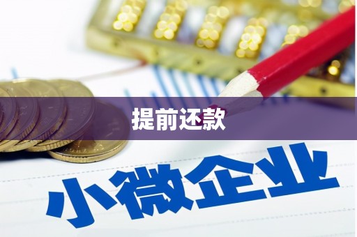 吕梁提前还款