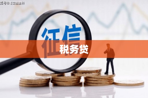 吕梁税务贷