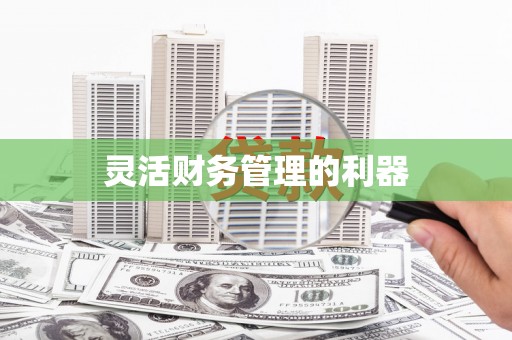 吕梁灵活财务管理的利器