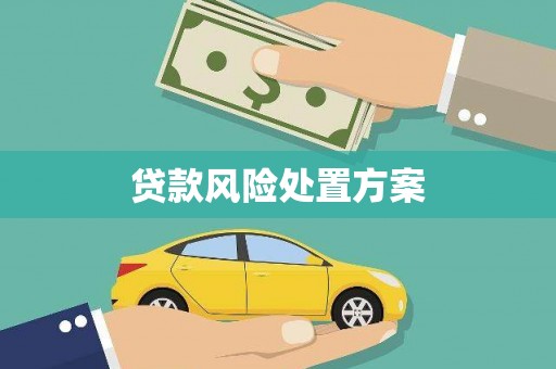 吕梁贷款风险处置方案