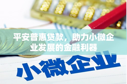 吕梁平安普惠贷款，助力小微企业发展的金融利器