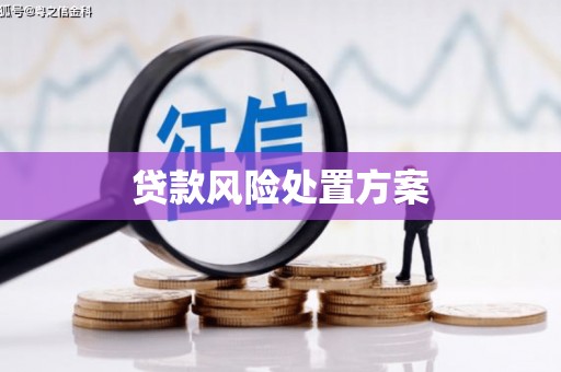 吕梁贷款风险处置方案