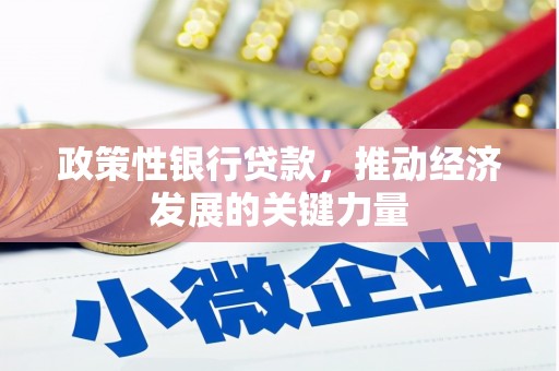 吕梁政策性银行贷款，推动经济发展的关键力量